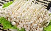 金針菇有什么養(yǎng)生功效？食用時有什么禁忌？