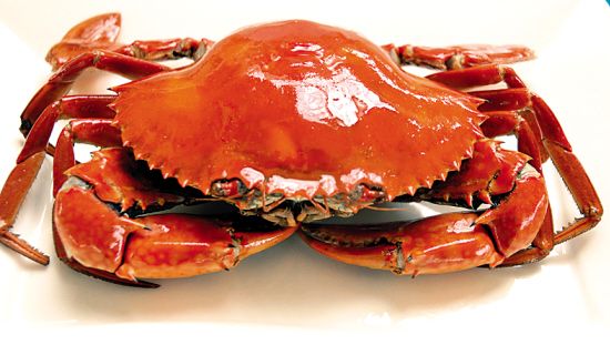 盤(pán)點(diǎn)食用螃蟹的幾大誤區(qū)