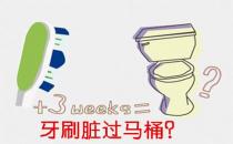 牙刷和口紅真的臟過馬桶？