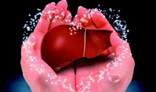 如何有效的養(yǎng)肝護(hù)肝？中醫(yī)傳授6大護(hù)肝秘訣
