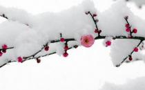 ?已經(jīng)立冬了，祝你冬天快樂