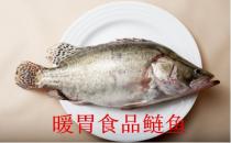 冬季可以吃哪些暖胃食物？