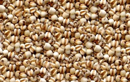 薏仁米有什么功效？薏仁米不宜過(guò)量食用