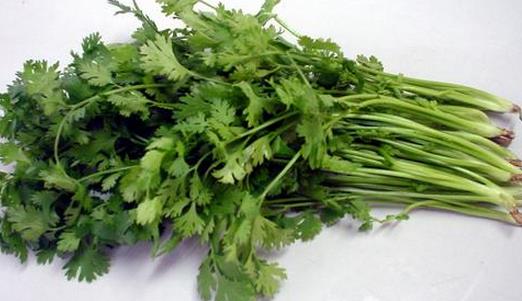 香菜有什么功效？香菜怎么保存？