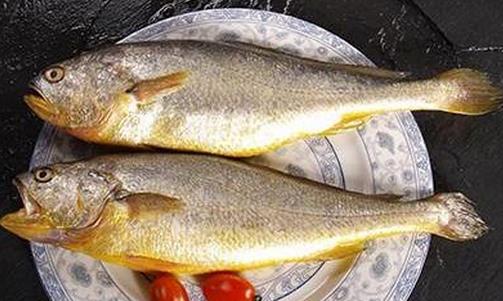 黃花魚有什么營養(yǎng)價值？孕婦能吃黃花魚嗎？
