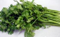 香菜有什么功效？香菜怎么保存？
