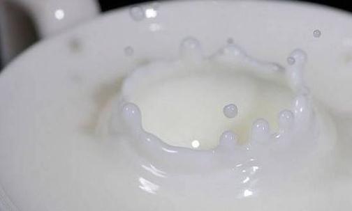 牛奶需要煮嗎？喝牛奶有哪些禁忌？