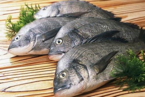 活魚活吃并不好 魚要怎么吃才健康