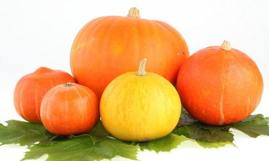 南瓜的營(yíng)養(yǎng)價(jià)值高 但不能與6種食物同吃