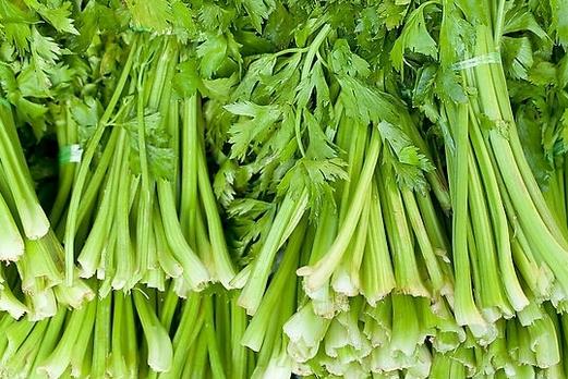 芹菜有哪些藥用功效？吃芹菜可預(yù)防動(dòng)脈硬化