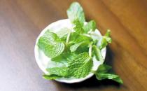 薄荷是什么？薄荷對家居環(huán)境的影響