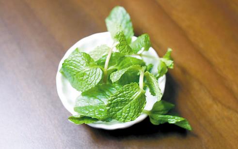 營(yíng)養(yǎng)豐富的薄荷 介紹4款薄荷的食療藥膳方