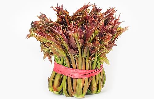 強健老人身體 初春養(yǎng)生吃11種蔬菜