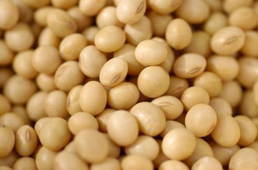 吃什么對(duì)乳房好？保護(hù)乳房的食物推薦