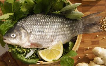 鯽魚(yú)_鯽魚(yú)的營(yíng)養(yǎng)價(jià)值,營(yíng)養(yǎng)成分,功效與作用,鯽魚(yú)的做法大全