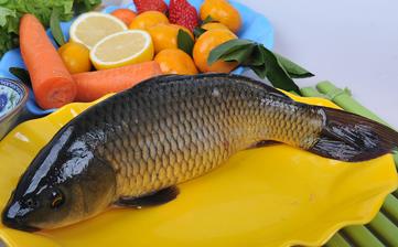 鯉魚(yú)_鯉魚(yú)的營(yíng)養(yǎng)價(jià)值,功效與作用,鯉魚(yú)怎么做好吃,鯉魚(yú)的做法大全