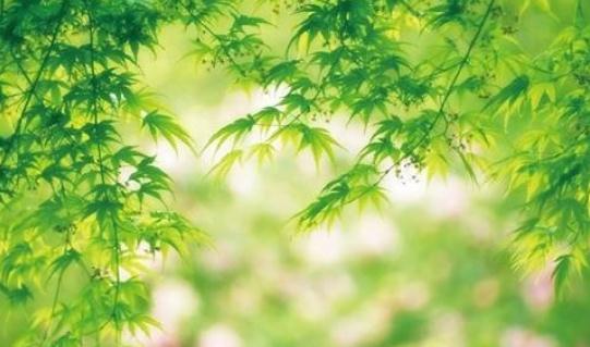 中國(guó)空氣凈化器行業(yè)的特征