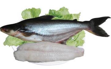 鱈魚_鱈魚的營養(yǎng)價值,營養(yǎng)成分,功效與作用,鱈魚的做法大全 鱈魚_鱈魚的營養(yǎng)價值,營養(yǎng)成分,功效與作用,鱈魚的做法大全
