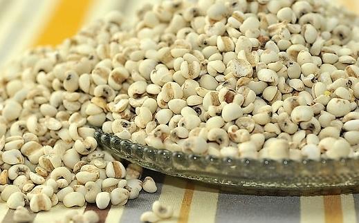 體內(nèi)濕氣重吃什么好？去除濕氣的食物推薦