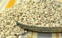 體內(nèi)濕氣重吃什么好？去除濕氣的食物推薦