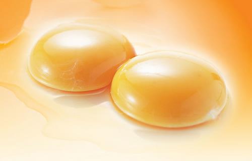 白領(lǐng)族補腦食物大推薦