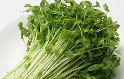吃什么瘦臉？十款食物幫你成就小V臉