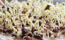 黃豆芽和綠豆芽有什么區(qū)別？