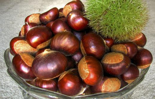 女性經(jīng)期吃什么食物好？