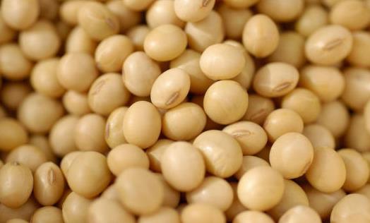 吃什么對乳房好？保護乳房的9種食物推薦