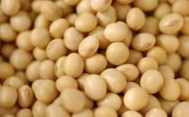 吃什么對乳房好？保護(hù)乳房的9種食物推薦
