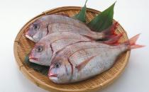 魚類的5大功效你知道嗎？