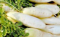 冬季吃什么美白？冬季美白食物推薦