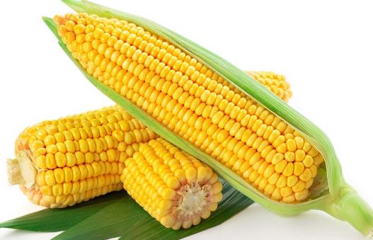 每逢佳節(jié)胖三斤？十種刮油食物越吃越瘦