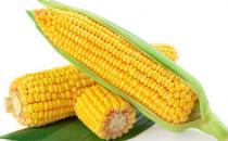 每逢佳節(jié)胖三斤？十種刮油食物越吃越瘦