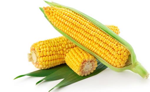 冬季養(yǎng)胃吃啥好？9種食物來護(hù)胃
