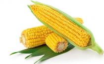 冬季養(yǎng)胃吃啥好？9種食物來護胃