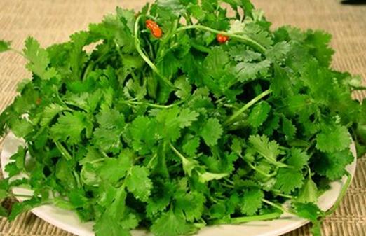 吃香菜有哪些好處？冬食香菜消食治感冒