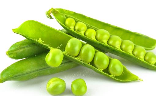 吃出白嫩?。?0種蔬菜不能少
