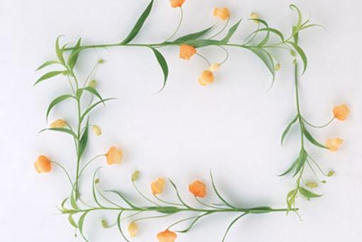 你看后會(huì)收藏的生活小妙招