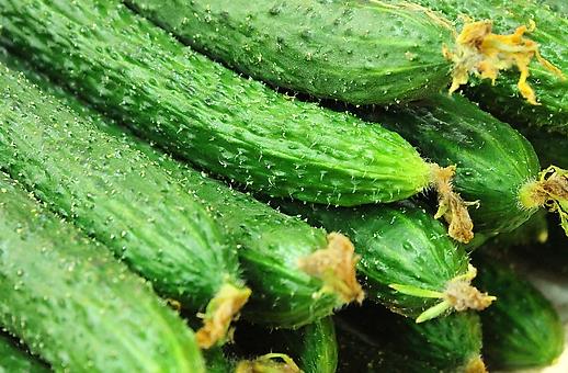 夏季吃什么美容？10大美容護(hù)膚食物推薦