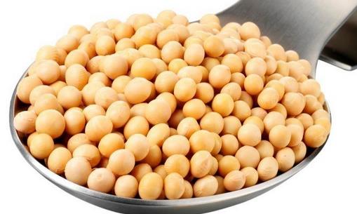 美白護(hù)膚養(yǎng)生必吃大豆