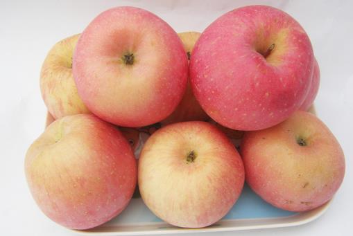 過敏吃什么好？7種春季抗過敏食物推薦