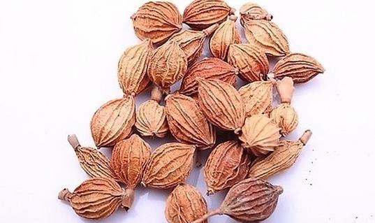 吃砂仁對(duì)癥喝果汁
