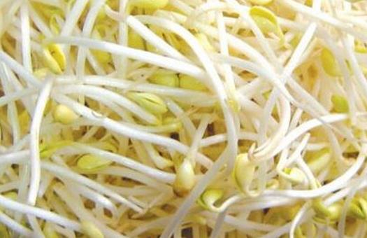 吃豆芽菜幫你治療四種常見(jiàn)病