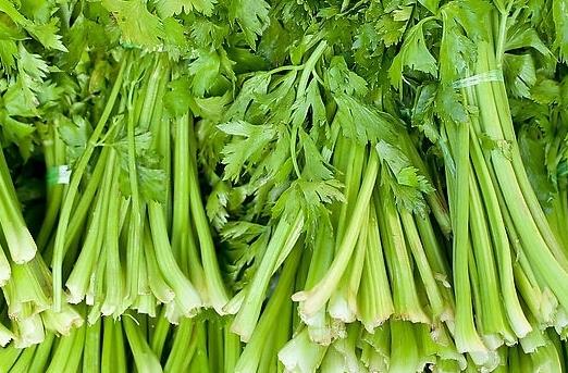 患冠心病吃哪些蔬菜好？