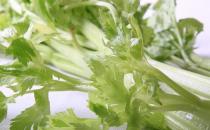 芹菜也分種類 芹菜有哪些藥效？