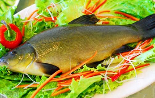 丁桂魚有什么營養(yǎng)價值與功效？