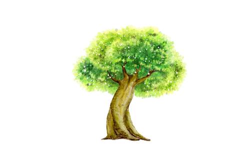 榕樹是怎樣的？怎么識別榕樹？