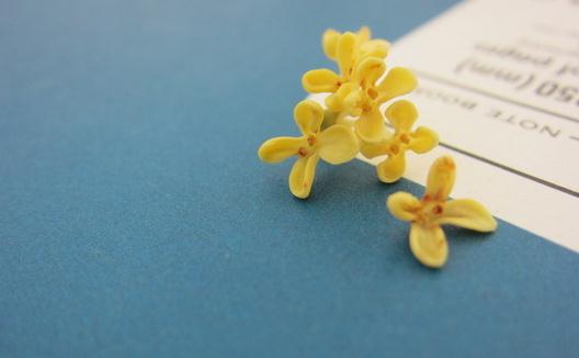 桂花的品種有哪些？
