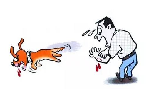狂犬病的急救常識(shí)你知道嗎？